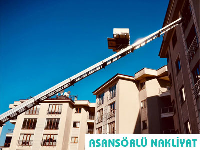 ANASAYFA